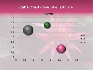 Pink Garden Plant PowerPoint Template