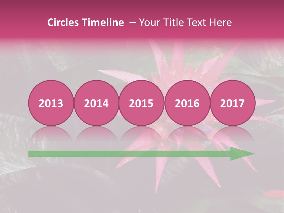 Pink Garden Plant PowerPoint Template