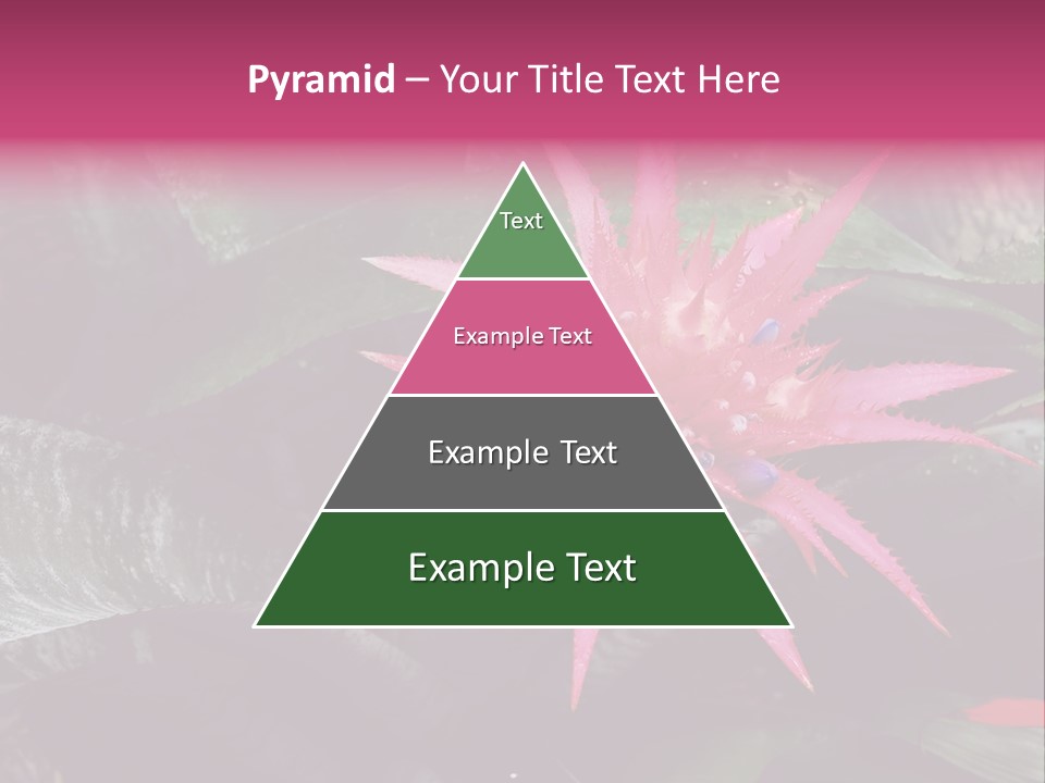 Pink Garden Plant PowerPoint Template