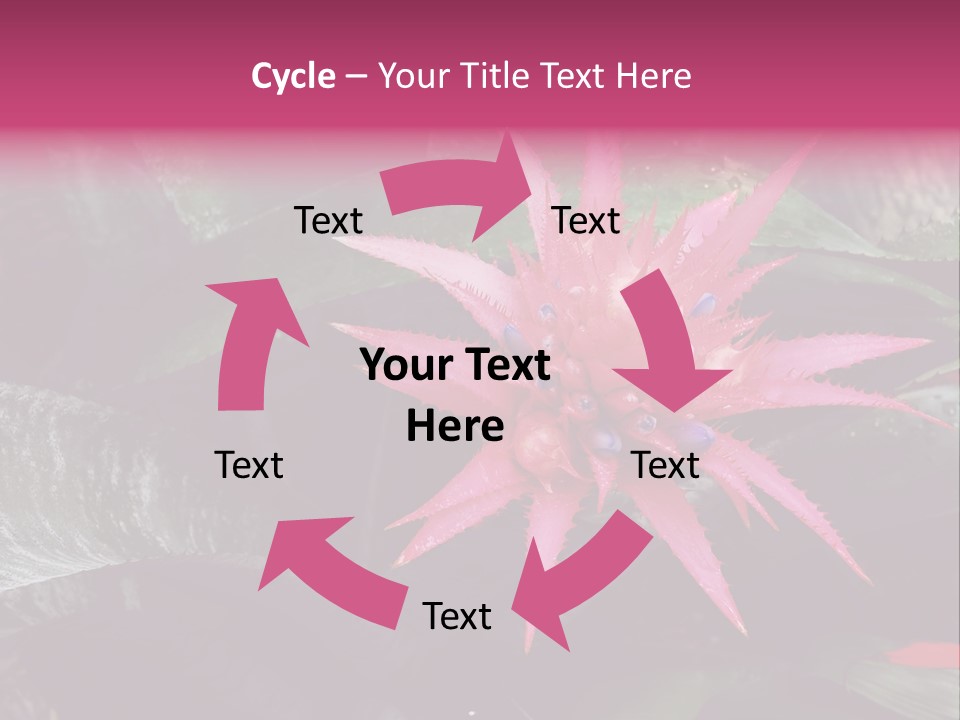 Pink Garden Plant PowerPoint Template