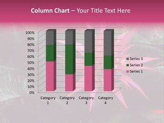 Pink Garden Plant PowerPoint Template