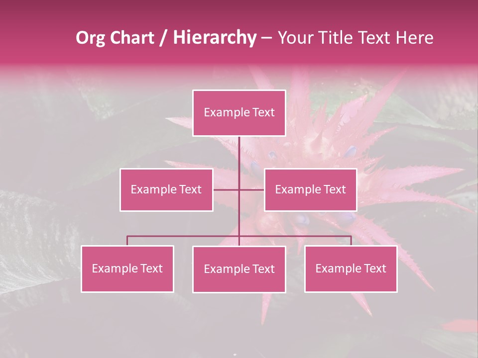 Pink Garden Plant PowerPoint Template