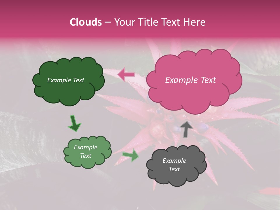 Pink Garden Plant PowerPoint Template