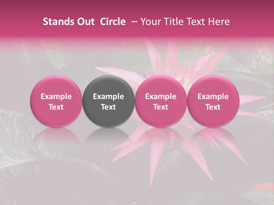 Pink Garden Plant PowerPoint Template