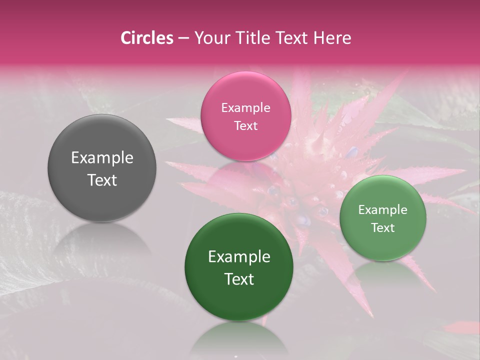 Pink Garden Plant PowerPoint Template