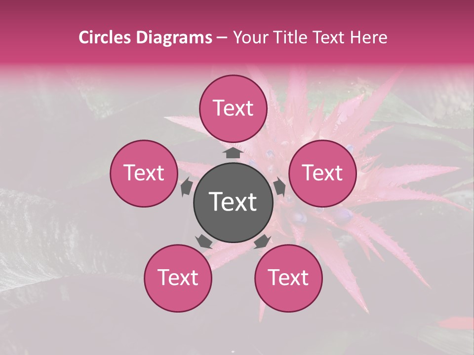 Pink Garden Plant PowerPoint Template
