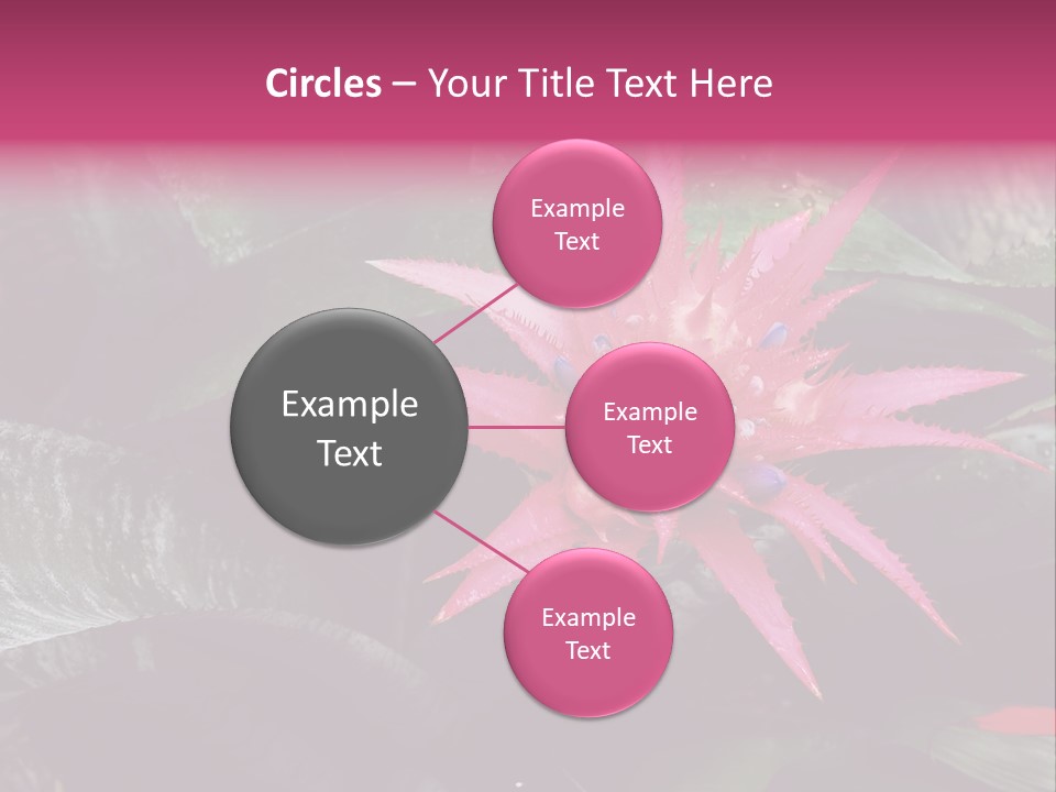 Pink Garden Plant PowerPoint Template
