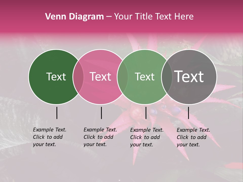 Pink Garden Plant PowerPoint Template