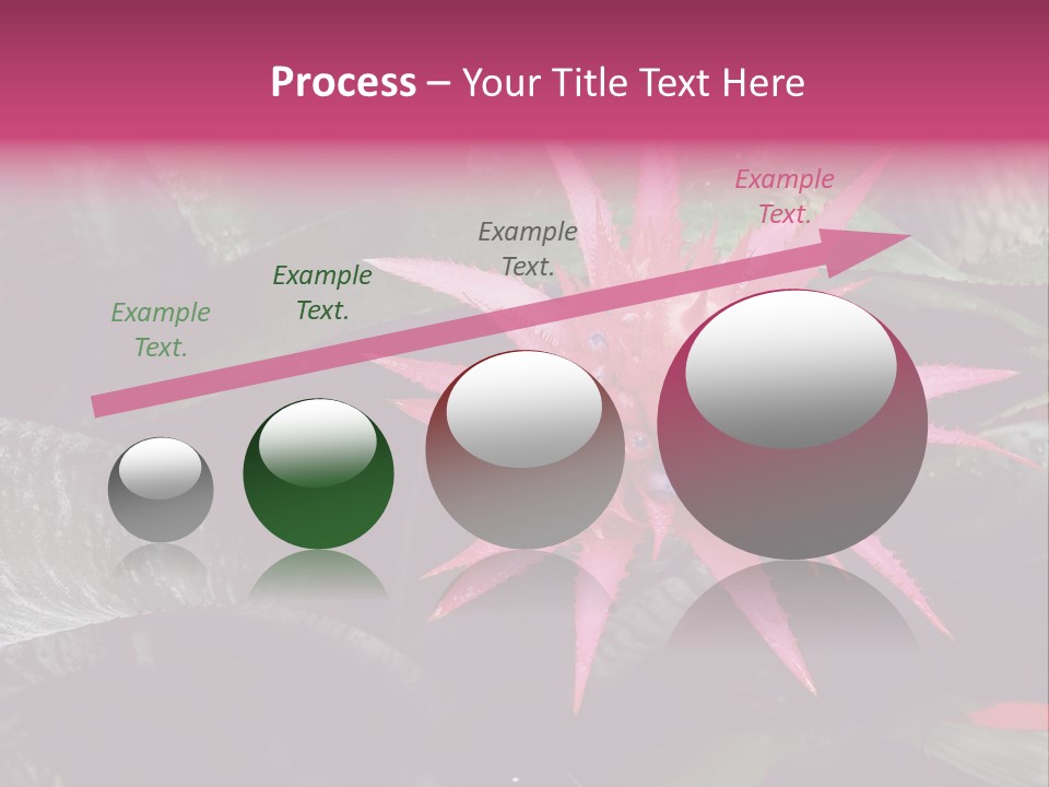 Pink Garden Plant PowerPoint Template
