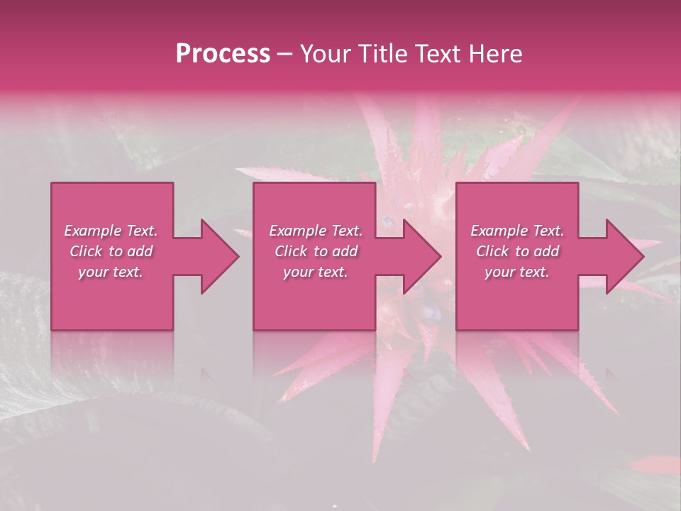 Pink Garden Plant PowerPoint Template