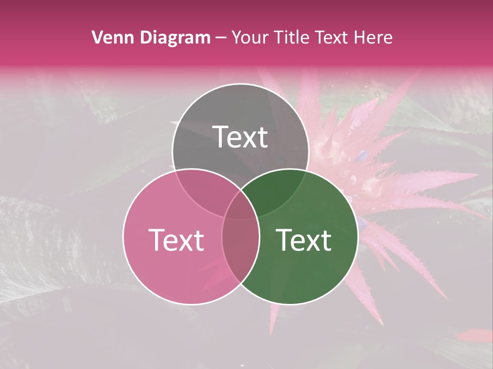 Pink Garden Plant PowerPoint Template