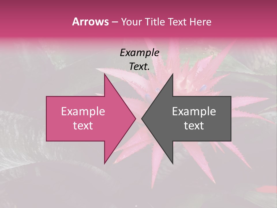 Pink Garden Plant PowerPoint Template