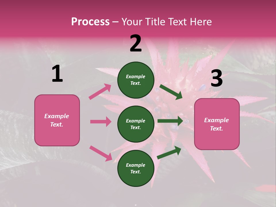 Pink Garden Plant PowerPoint Template