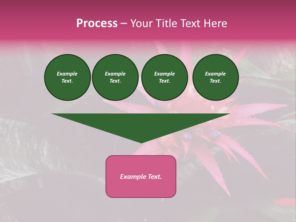 Pink Garden Plant PowerPoint Template