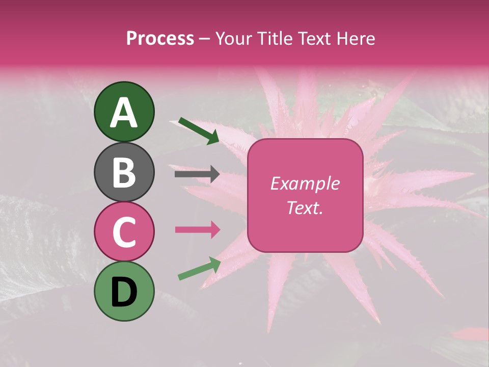 Pink Garden Plant PowerPoint Template