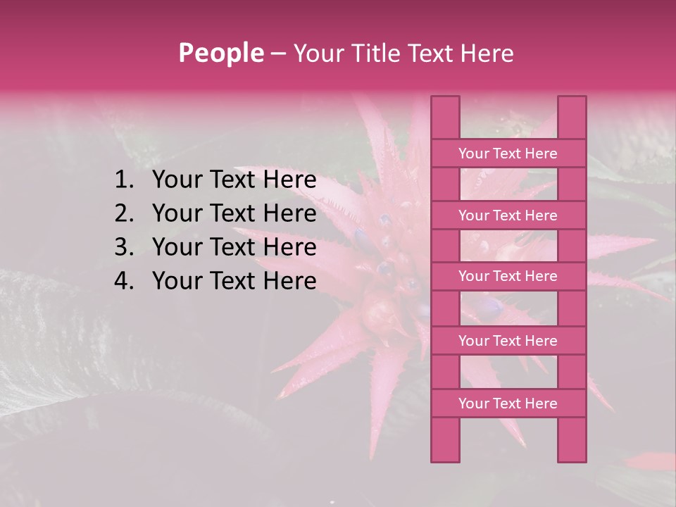 Pink Garden Plant PowerPoint Template