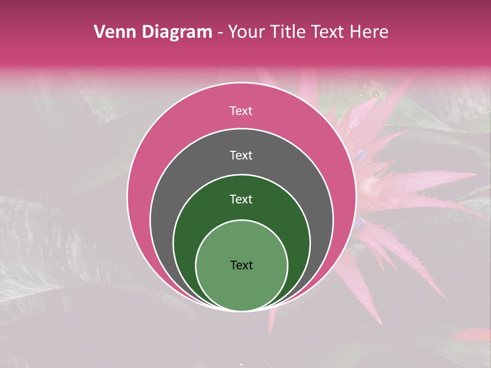 Pink Garden Plant PowerPoint Template