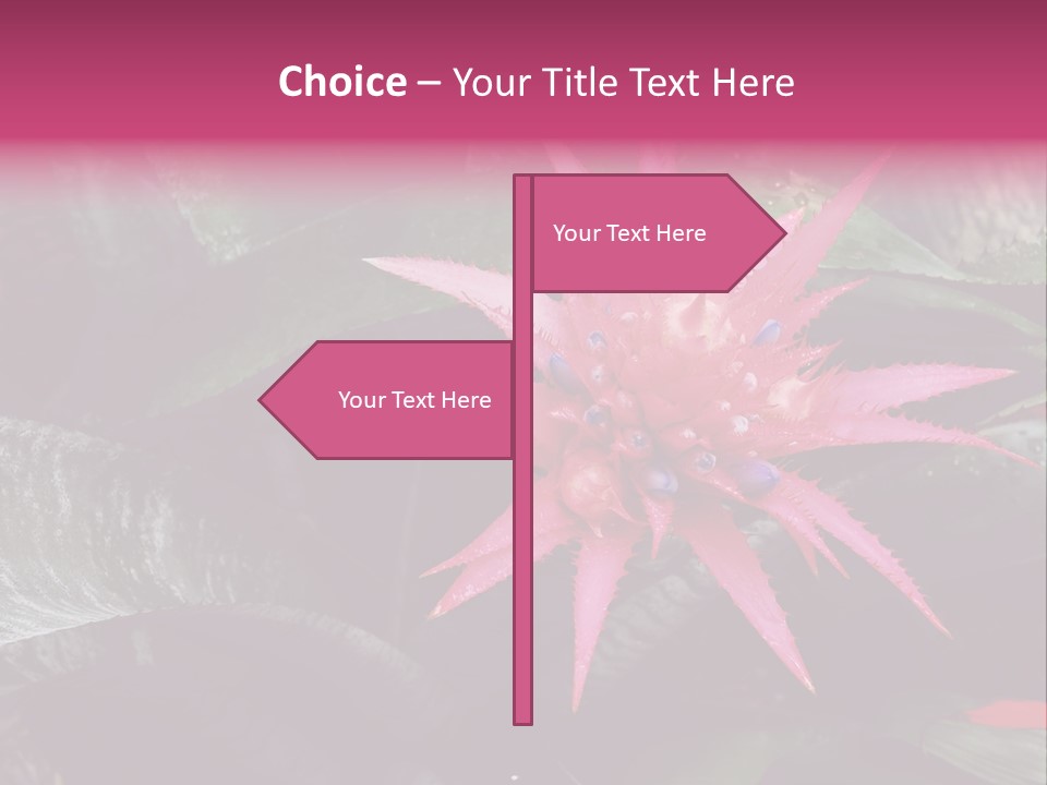 Pink Garden Plant PowerPoint Template