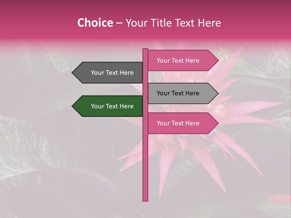 Pink Garden Plant PowerPoint Template