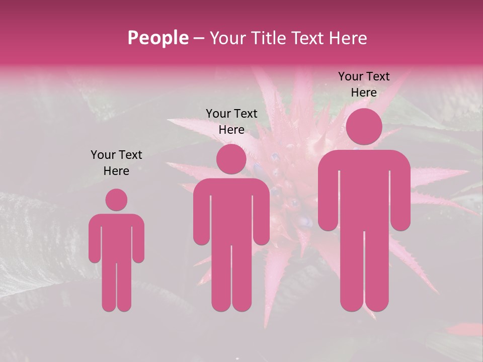 Pink Garden Plant PowerPoint Template