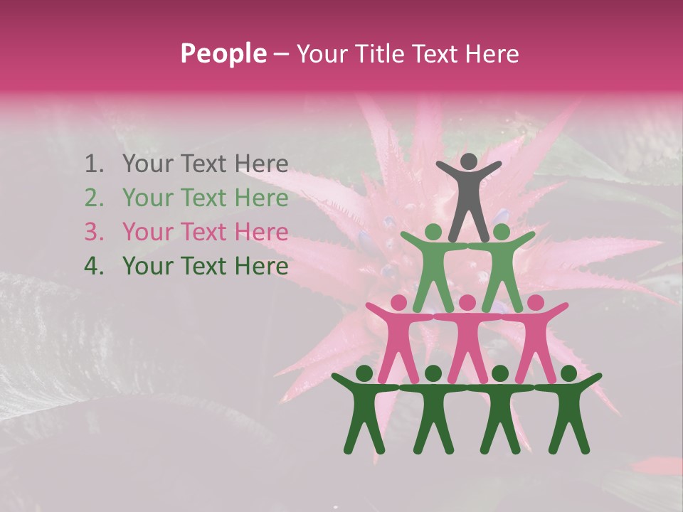 Pink Garden Plant PowerPoint Template