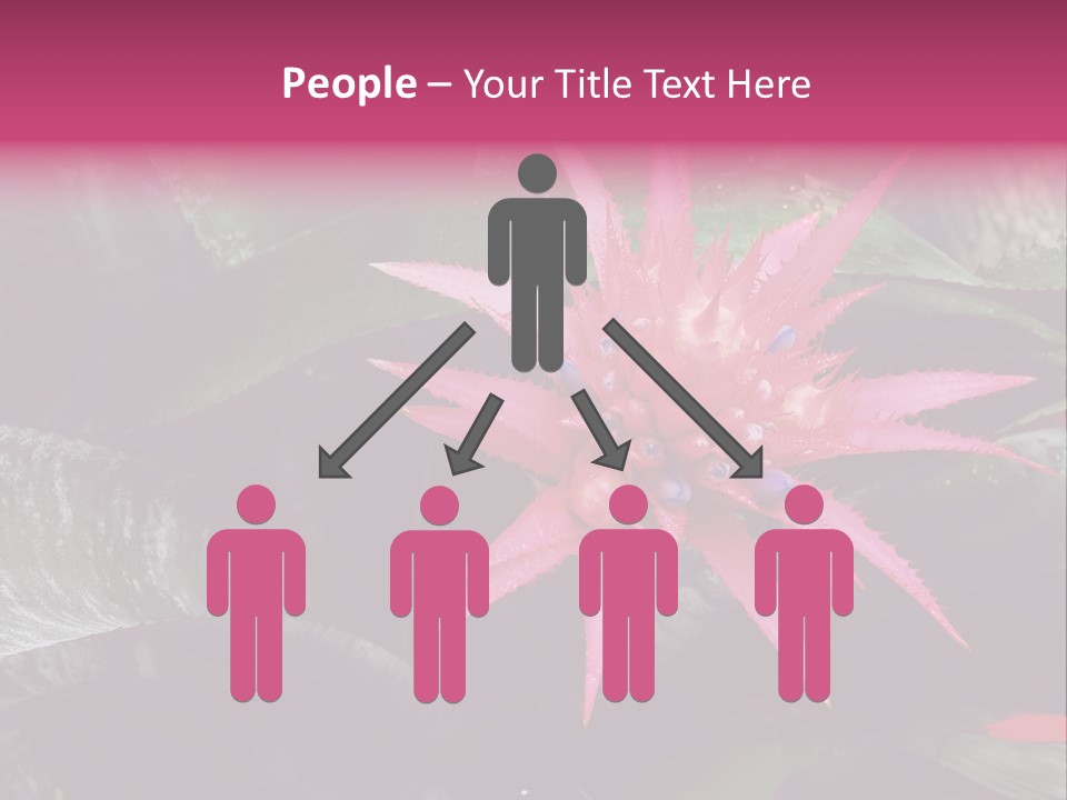 Pink Garden Plant PowerPoint Template