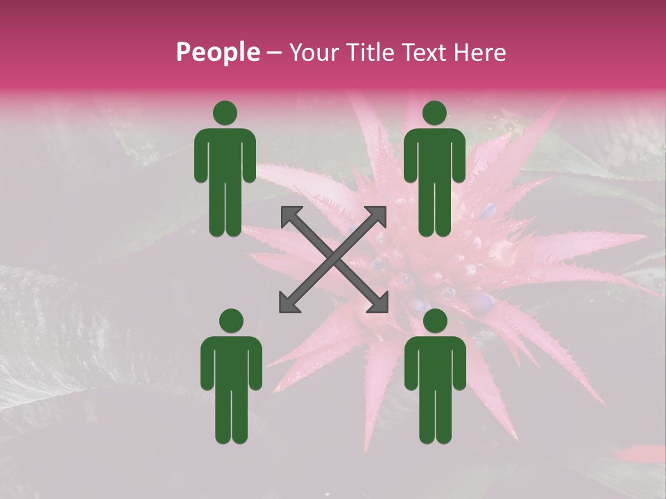 Pink Garden Plant PowerPoint Template
