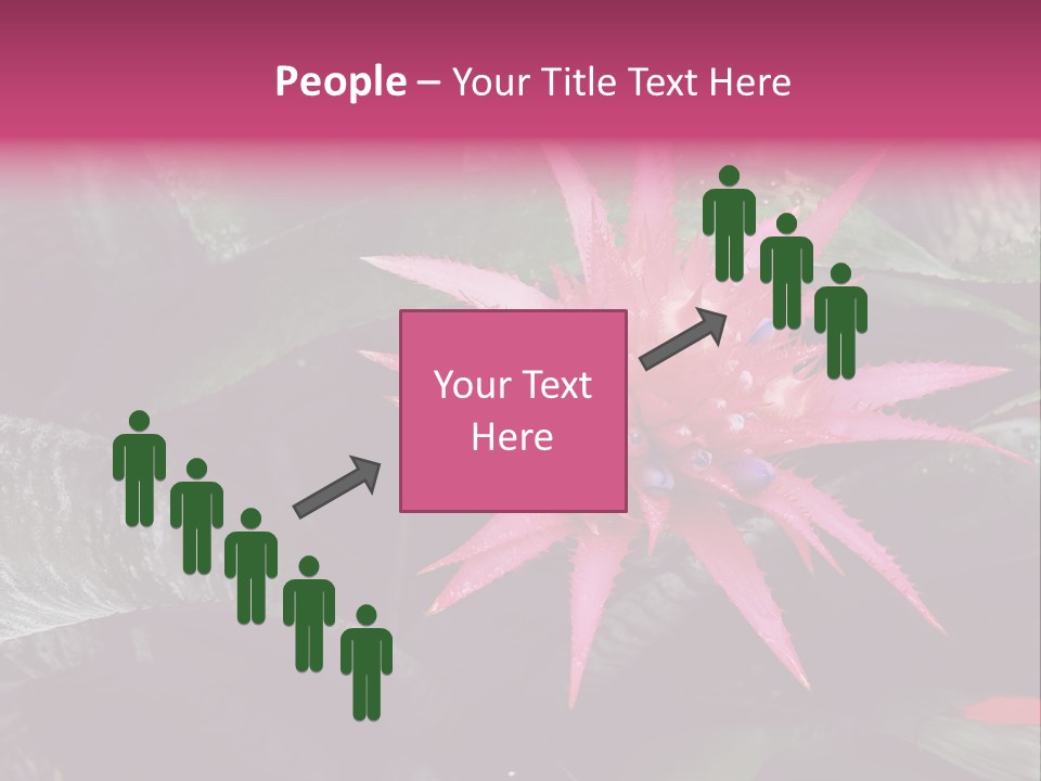 Pink Garden Plant PowerPoint Template