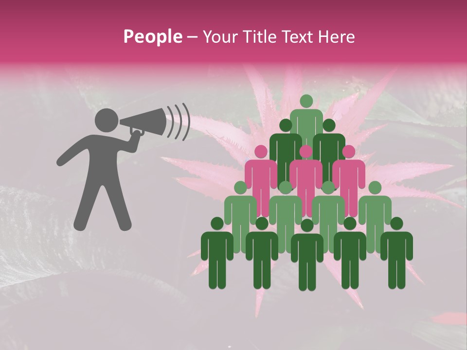 Pink Garden Plant PowerPoint Template