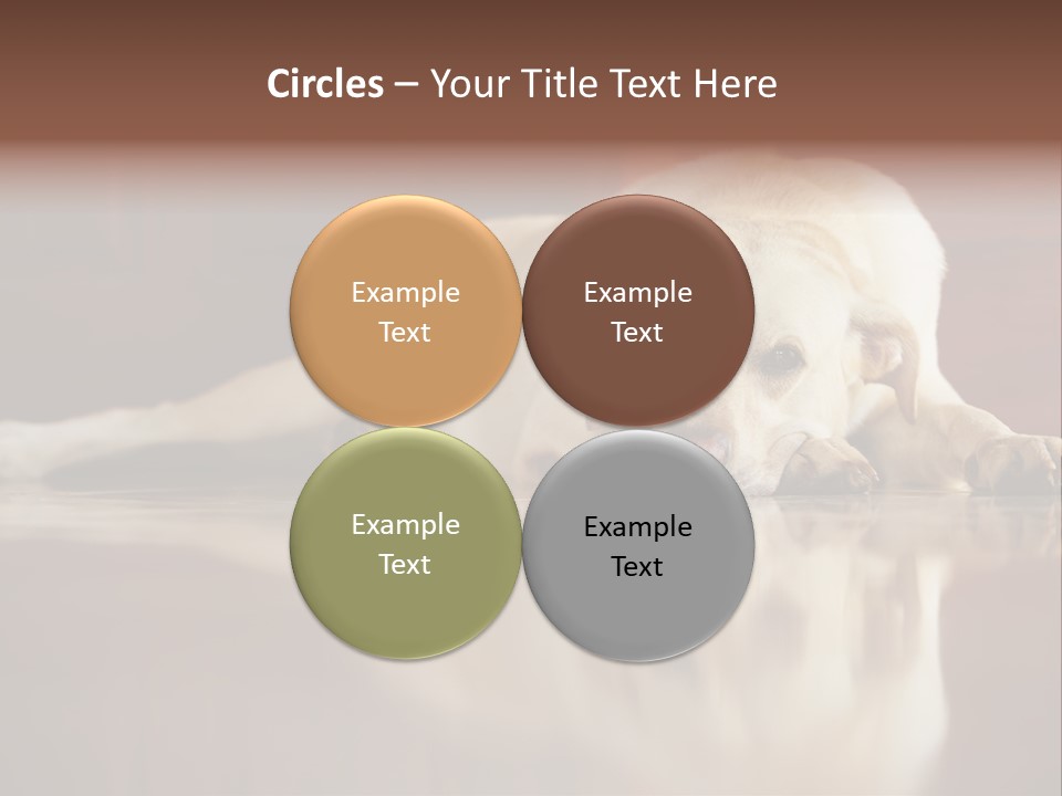 Patience Yellow Labrador Retriever House PowerPoint Template