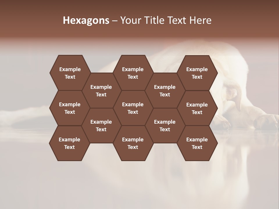 Patience Yellow Labrador Retriever House PowerPoint Template