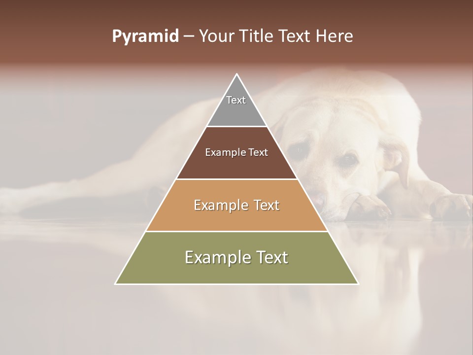 Patience Yellow Labrador Retriever House PowerPoint Template