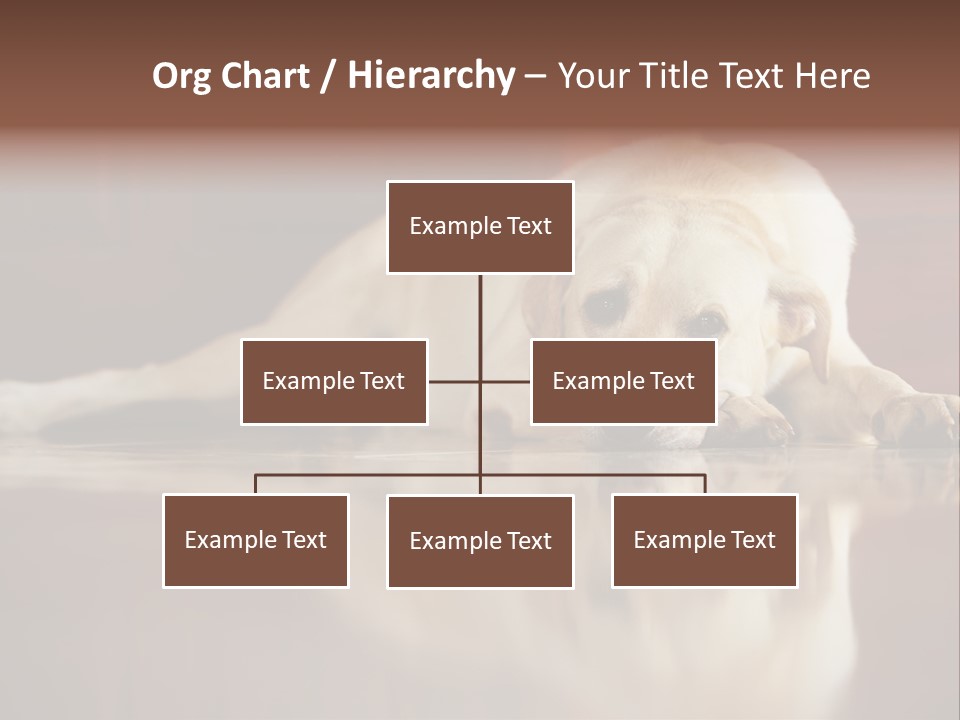 Patience Yellow Labrador Retriever House PowerPoint Template