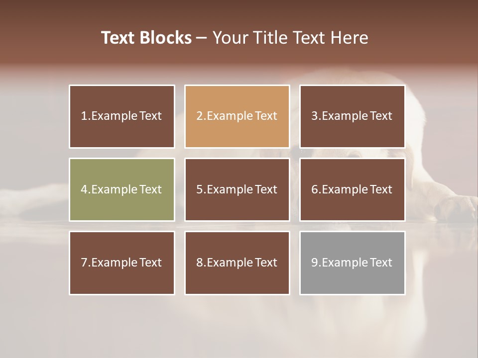 Patience Yellow Labrador Retriever House PowerPoint Template