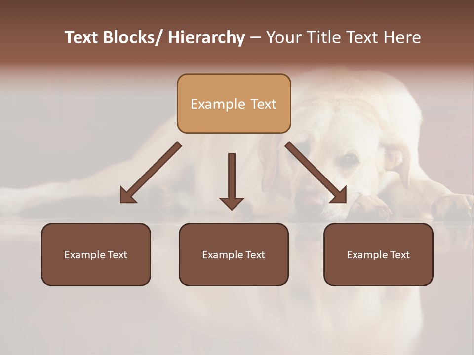 Patience Yellow Labrador Retriever House PowerPoint Template