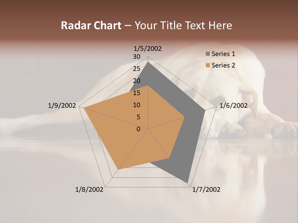 Patience Yellow Labrador Retriever House PowerPoint Template