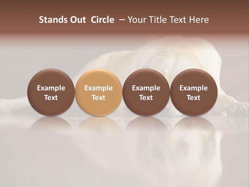 Patience Yellow Labrador Retriever House PowerPoint Template