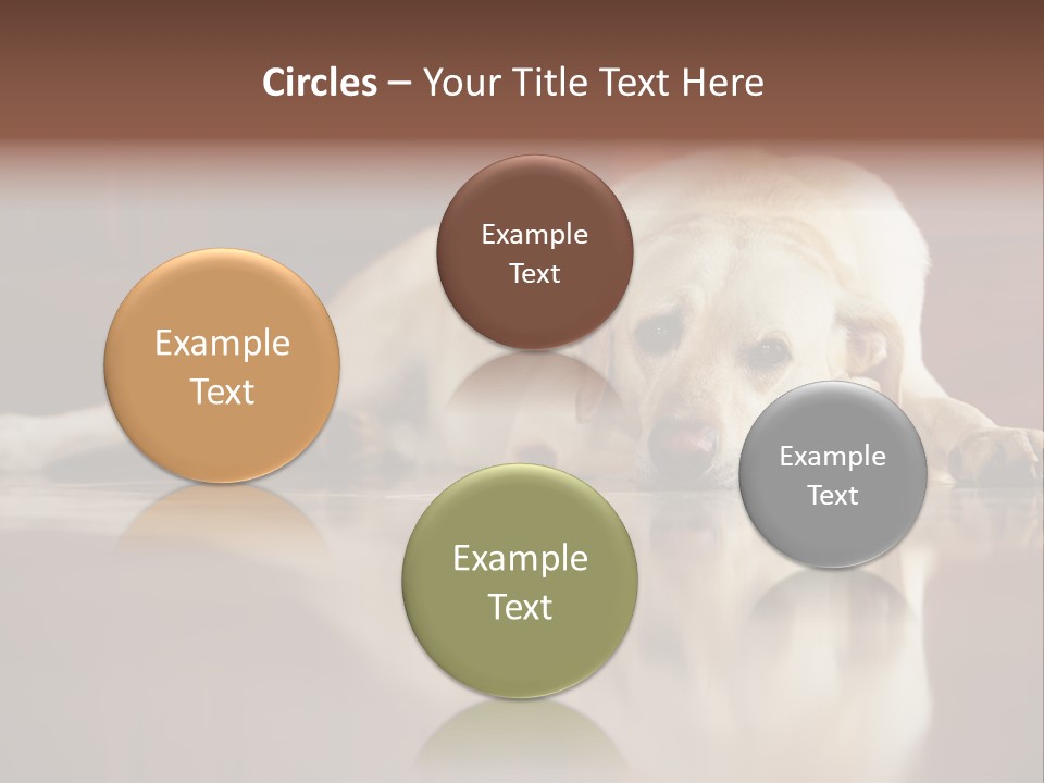 Patience Yellow Labrador Retriever House PowerPoint Template