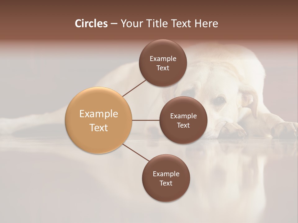 Patience Yellow Labrador Retriever House PowerPoint Template