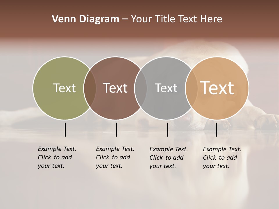 Patience Yellow Labrador Retriever House PowerPoint Template