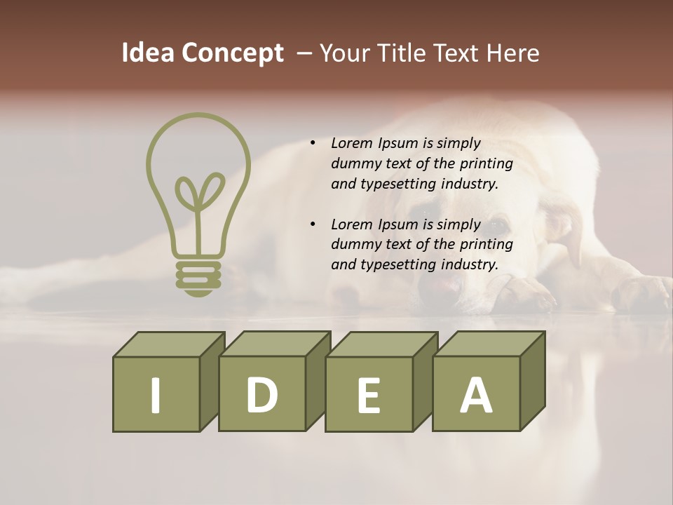 Patience Yellow Labrador Retriever House PowerPoint Template