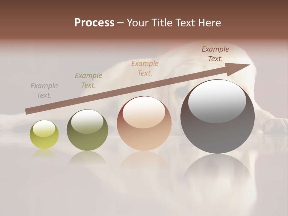 Patience Yellow Labrador Retriever House PowerPoint Template