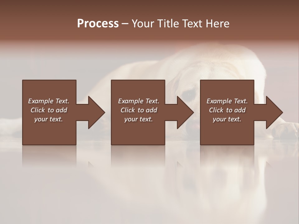 Patience Yellow Labrador Retriever House PowerPoint Template