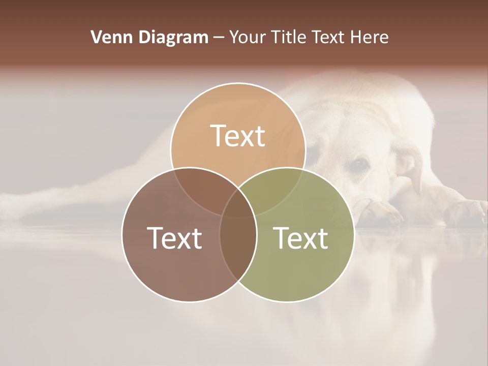 Patience Yellow Labrador Retriever House PowerPoint Template