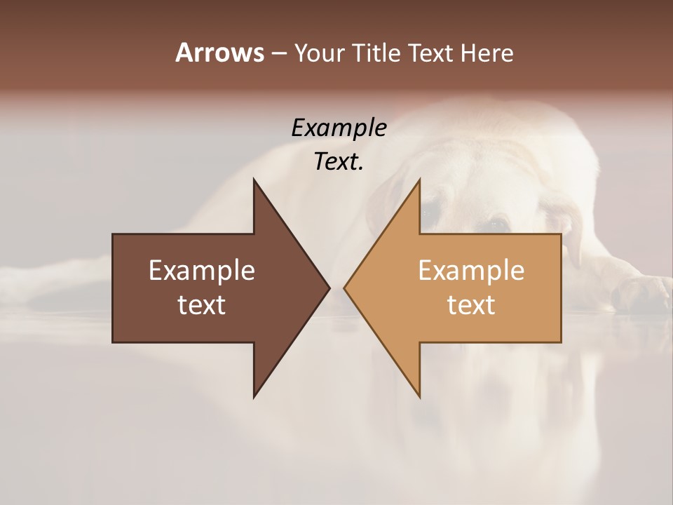 Patience Yellow Labrador Retriever House PowerPoint Template