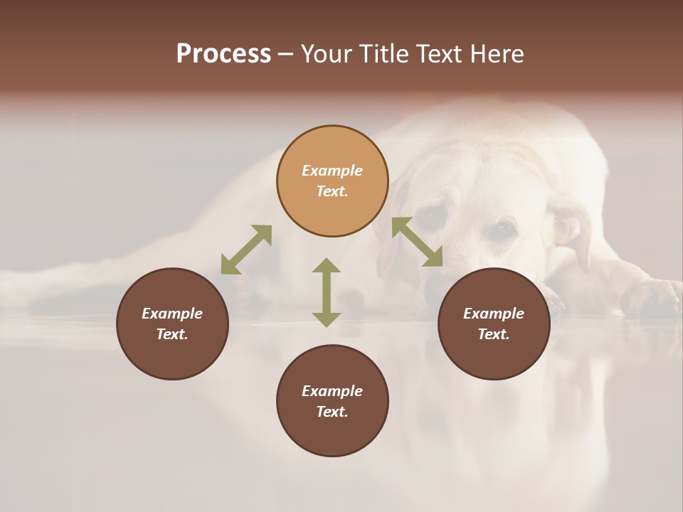 Patience Yellow Labrador Retriever House PowerPoint Template