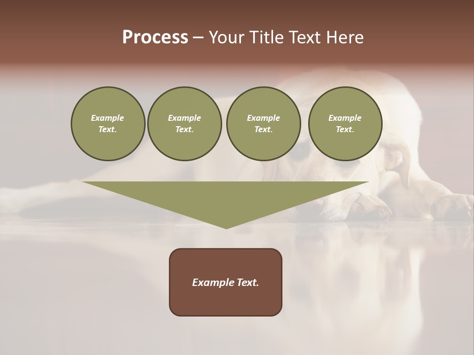 Patience Yellow Labrador Retriever House PowerPoint Template