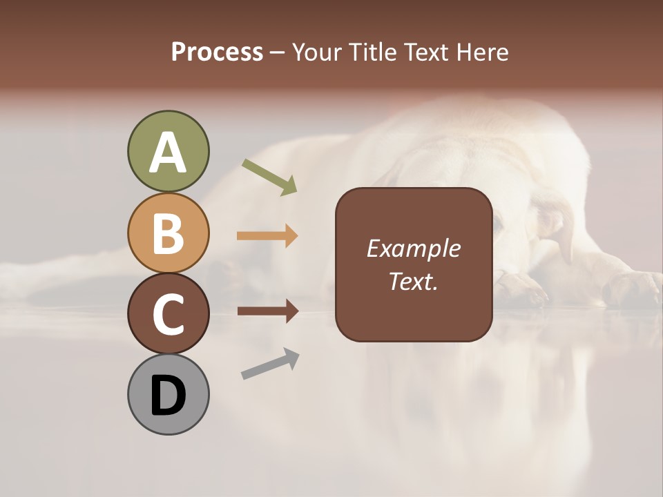 Patience Yellow Labrador Retriever House PowerPoint Template