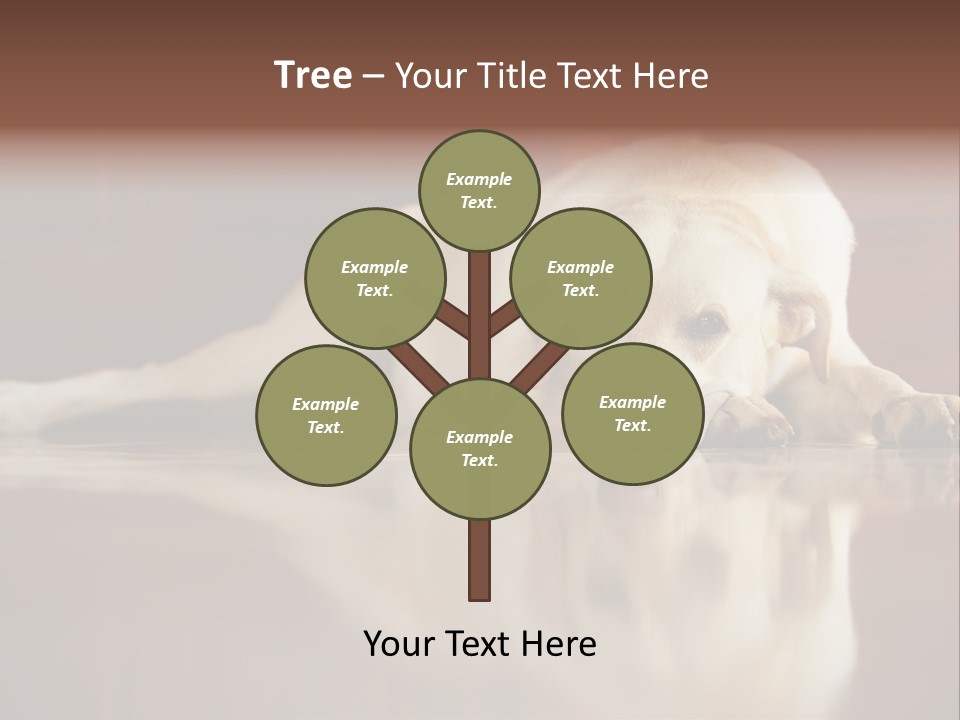 Patience Yellow Labrador Retriever House PowerPoint Template