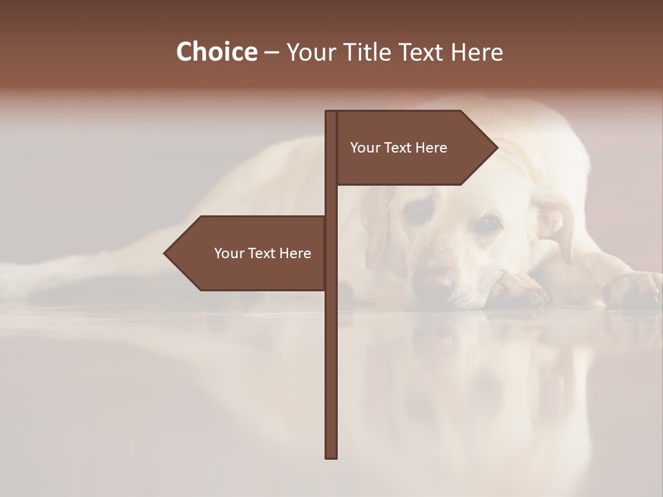 Patience Yellow Labrador Retriever House PowerPoint Template